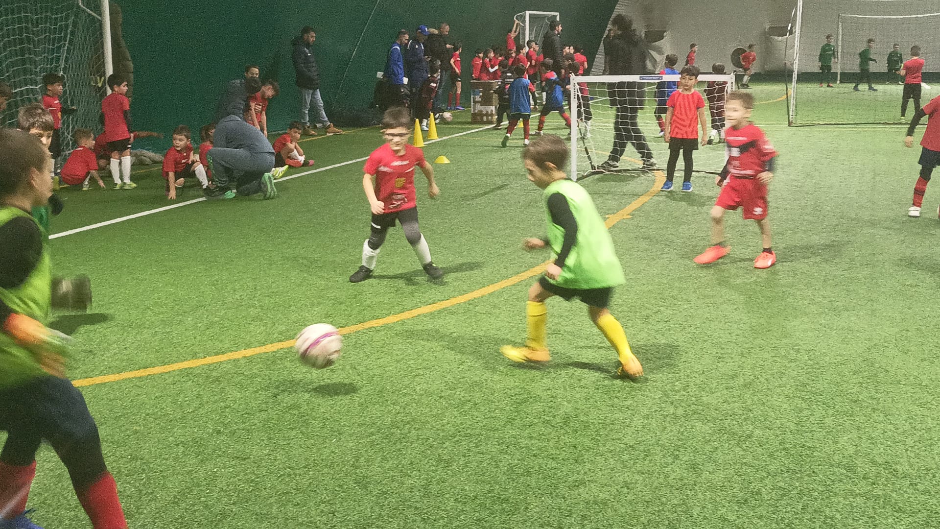Potenza, al PalaPergola un pomeriggio di entusiasmo con 100 piccoli atleti in campo